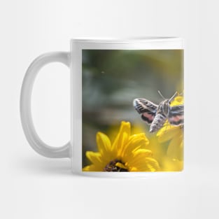 White-Lined Sphinx Moth Wings Spread Mug